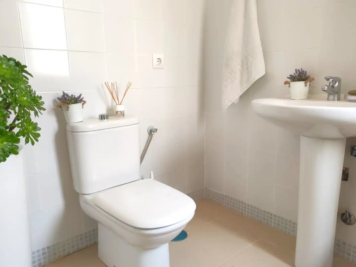 Bathroom of Duplexes for sale in Roquetas de Mar  with Terrace