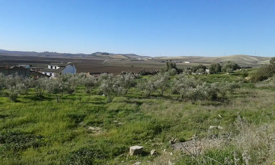 Terrenys i solars en venda a C/ Sect ES-SUS 1.4, imagen 8