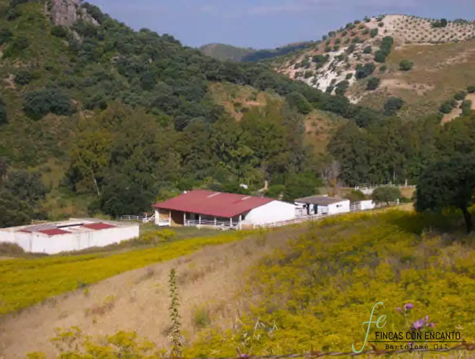 Außenansicht von Country house zum Verkauf in Marchena mit Privatgarten, Terrasse und Schwimmbad