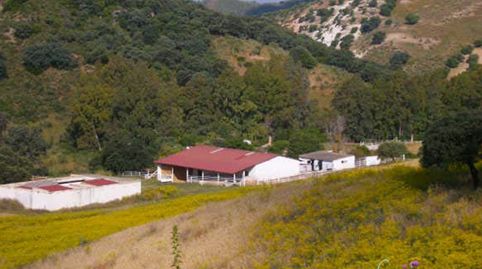 Foto 4 von Country house zum Verkauf in Marchena, Sevilla