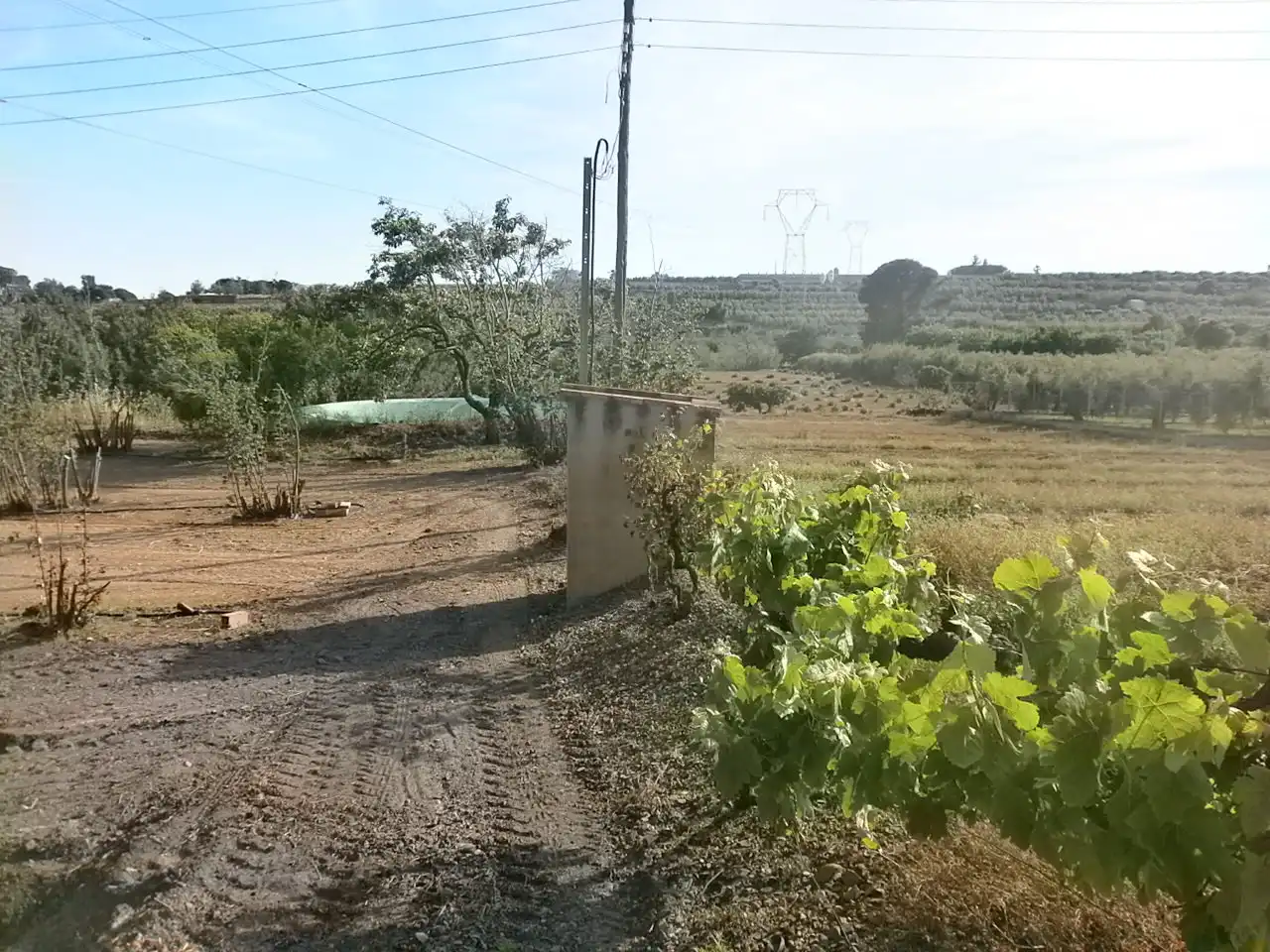Rural land for sale in Camí del Recreo 25, imagen 17