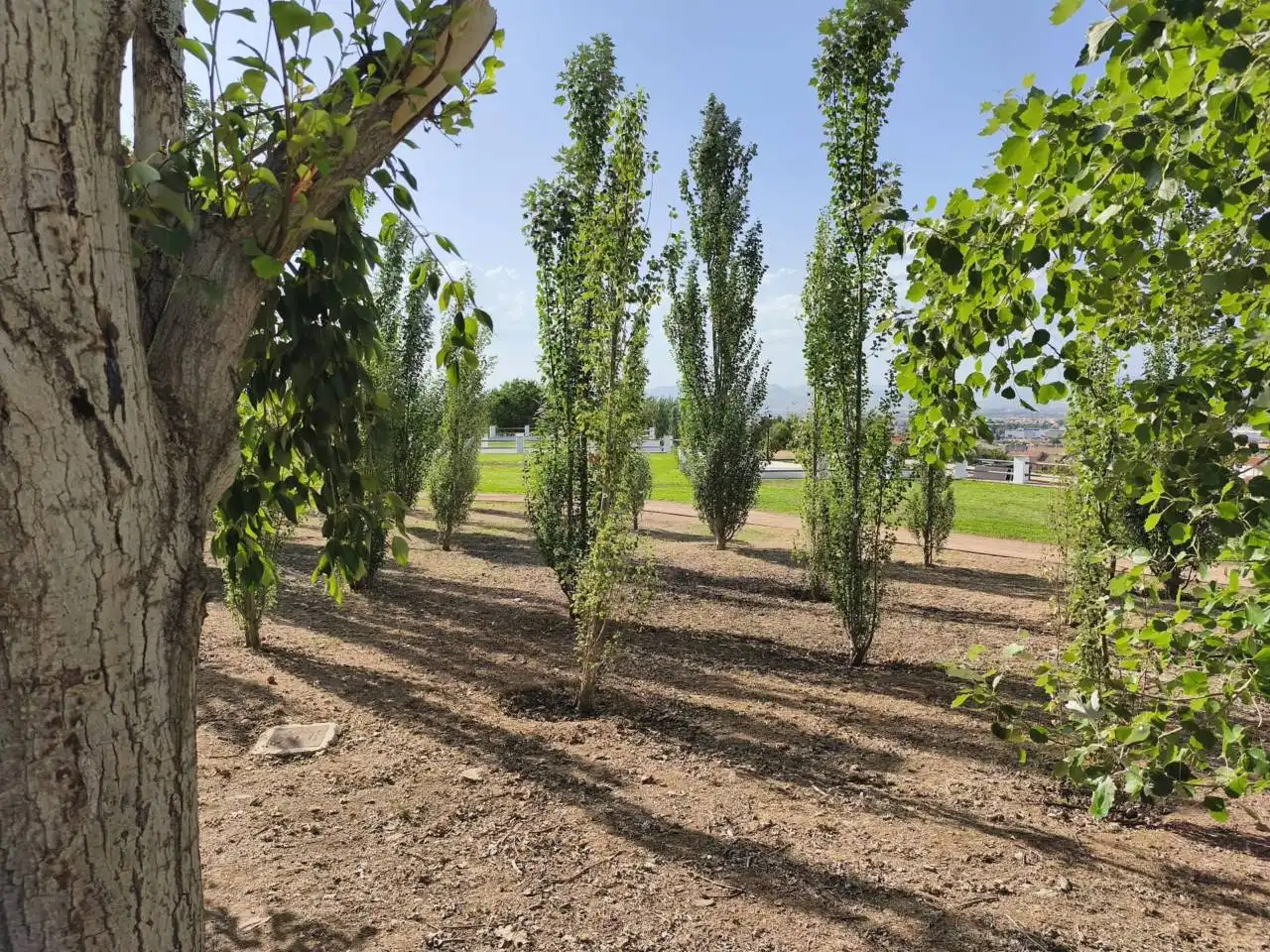 Jardín de Casa o chalet en venta en Ogíjares con Aire acondicionado