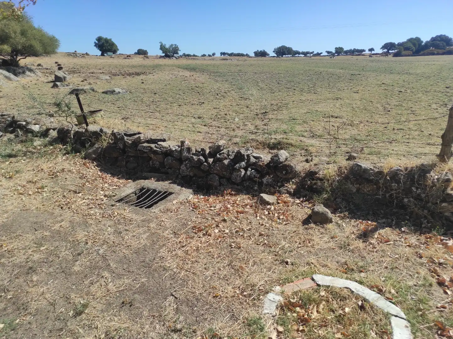 Terreny en venda en Ceclavín