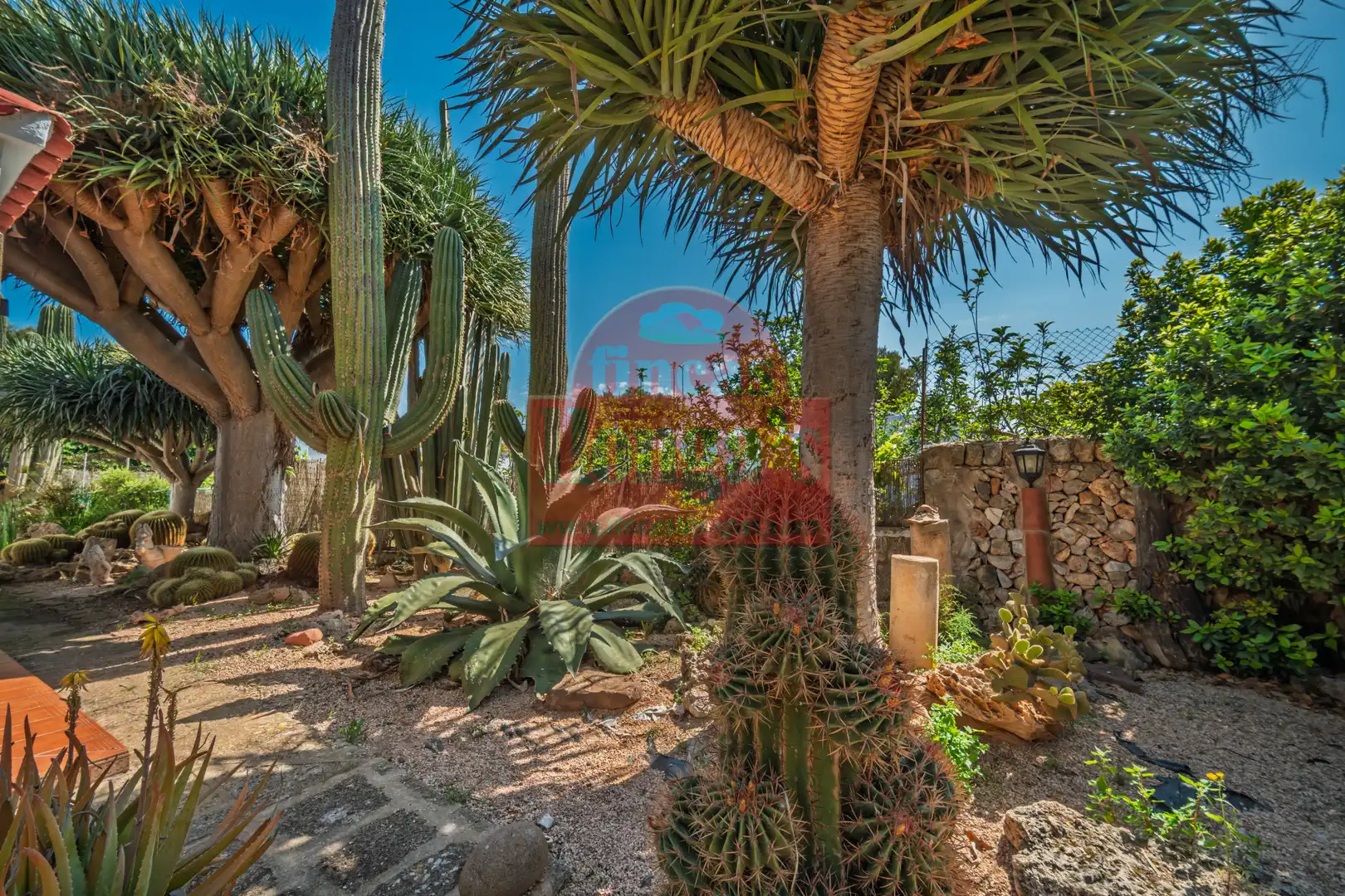 Villa mit Garten zum Verkauf in Cala Blanca, imagen 19