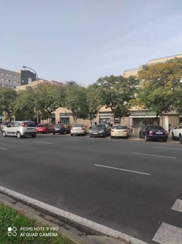 Oficina en Alquiler en doctor gonzalez caraballo en Colores -  Entreparques