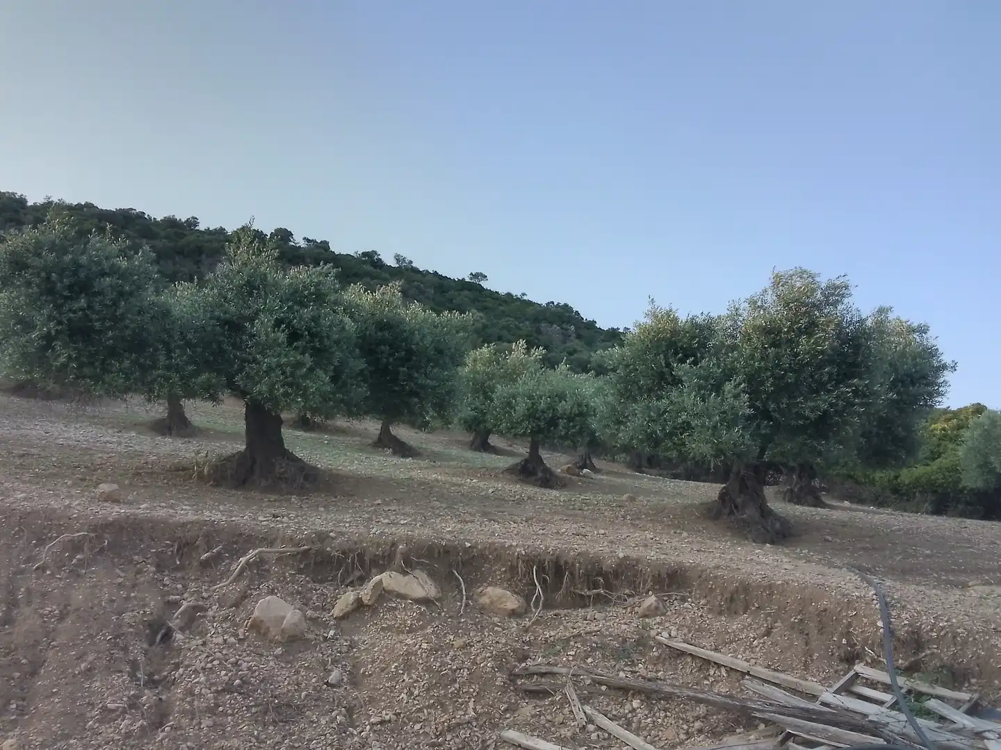 Terreno rústico en venta en Villamartín, imagen 5