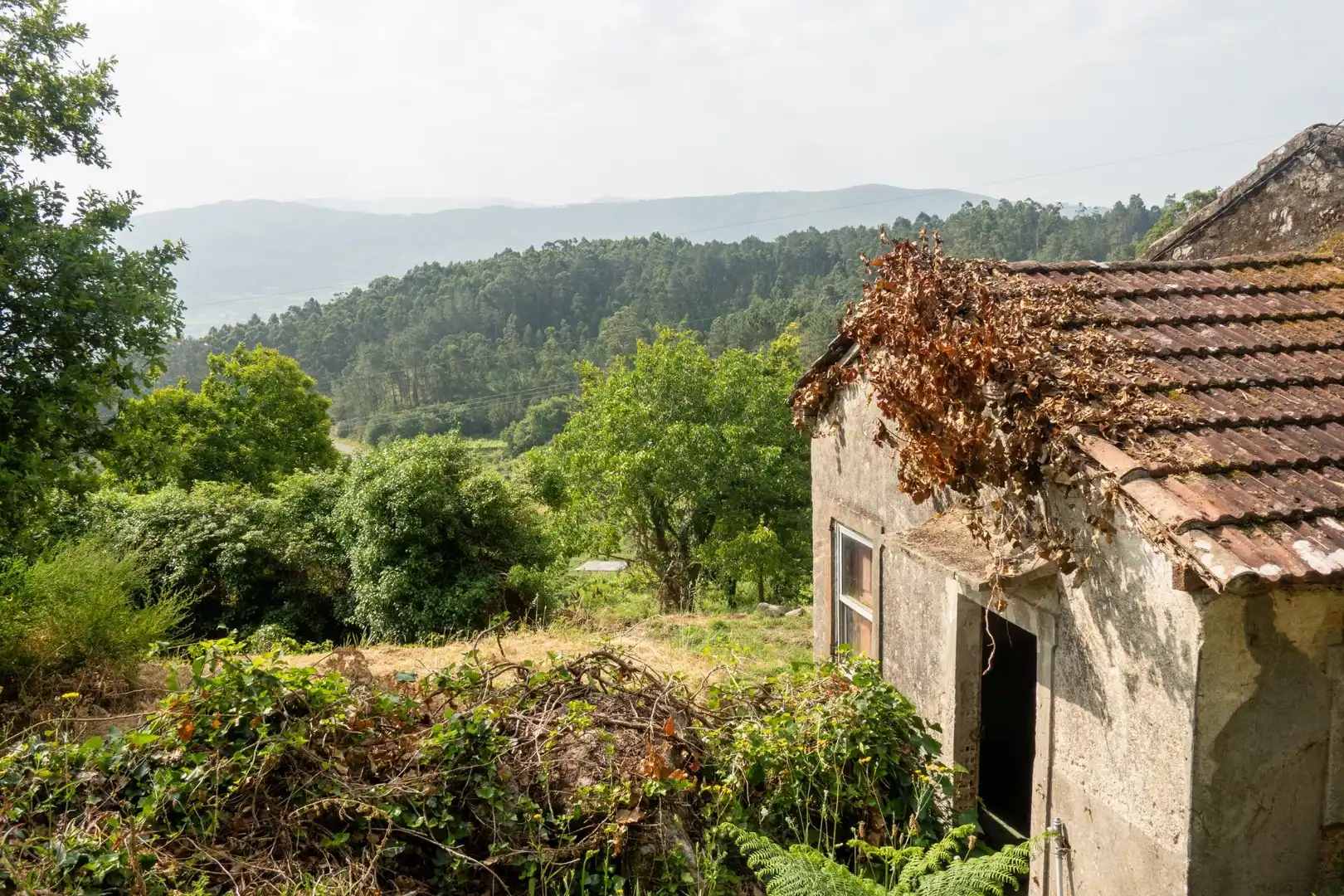 Vista exterior de Finca rústica en venda en Arbo amb Jardí privat