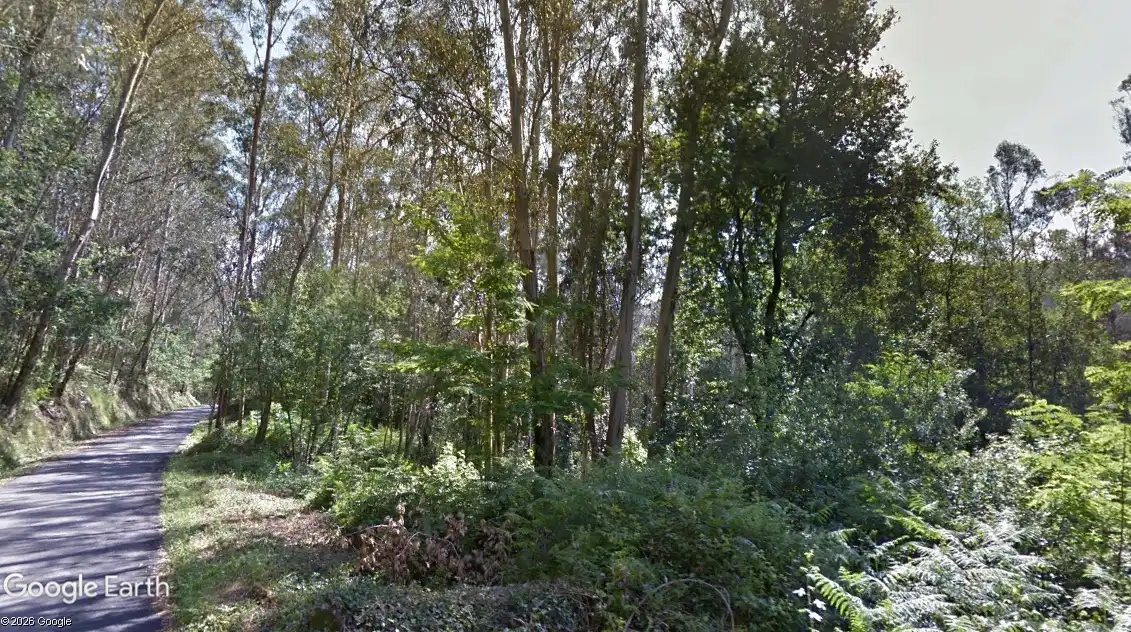 Terrain rustique à vendre à Moaña, imagen 3