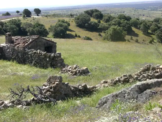 Lands and plots for sale in M-104 FINCA LA ENCINILLA (JUNQUER), imagen 7