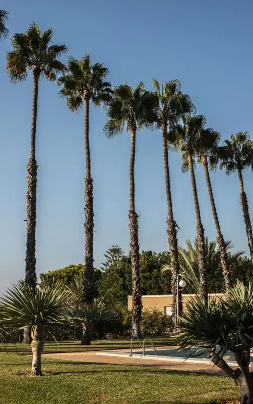 Exterior view of Houses for sale in Elche / Elx  with Air Conditioner, Heating and Terrace