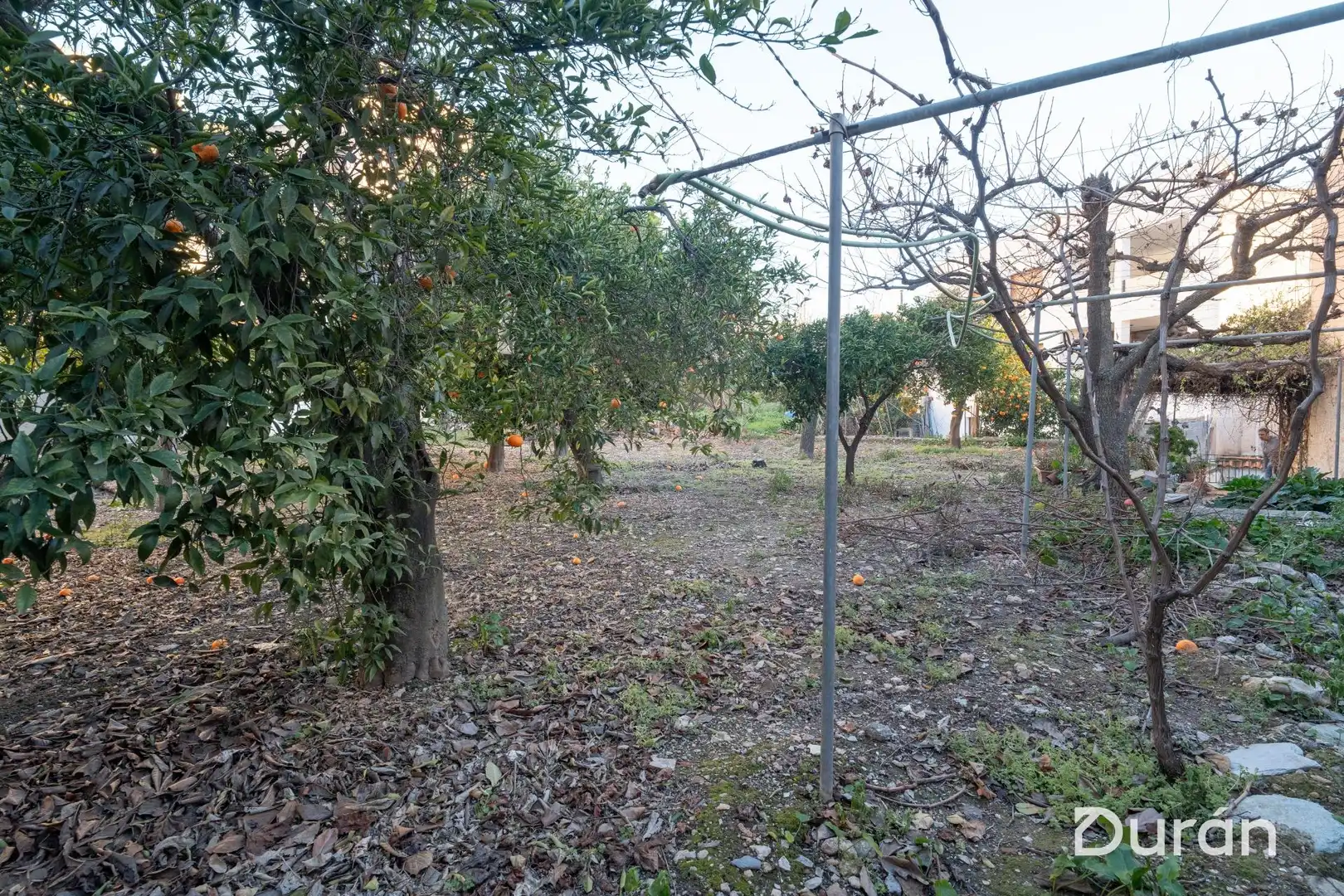 Finca rústica en venda en Alcolea amb Aire condicionat, Jardí privat i Traster