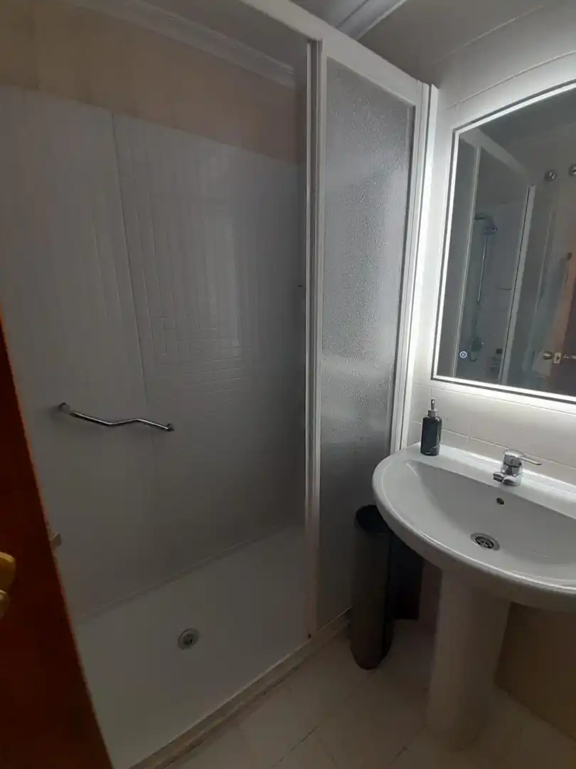 Wohnung mit Terrasse zur Miete in Casco Antiguo, imagen 21