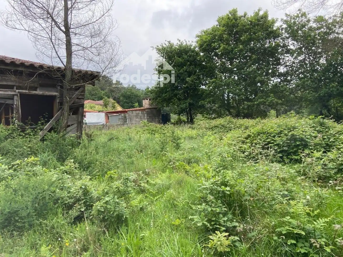 Rural land for sale in Covelo, imagen 17