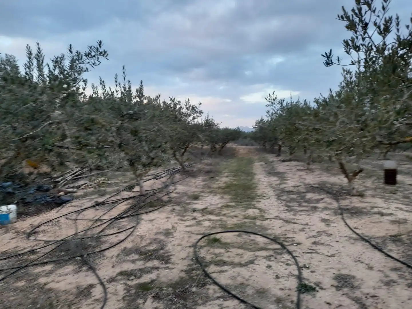 Terreny rústic en venda a Miravet, imagen 17