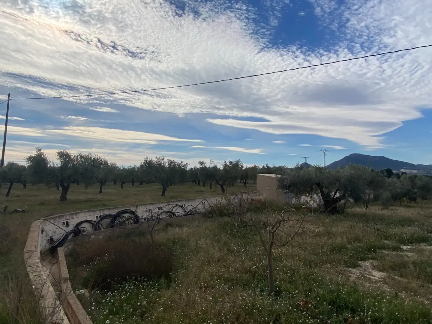 Casa o chalet en venta en Sax