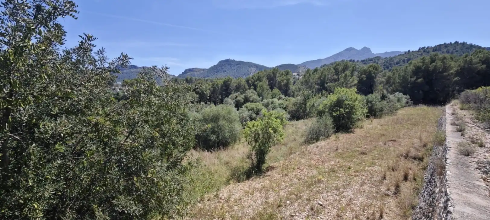 Residential land for sale in Tormos, imagen 39