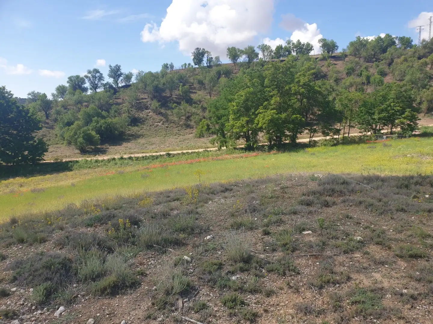 Residencial en venta en Valdelaguna