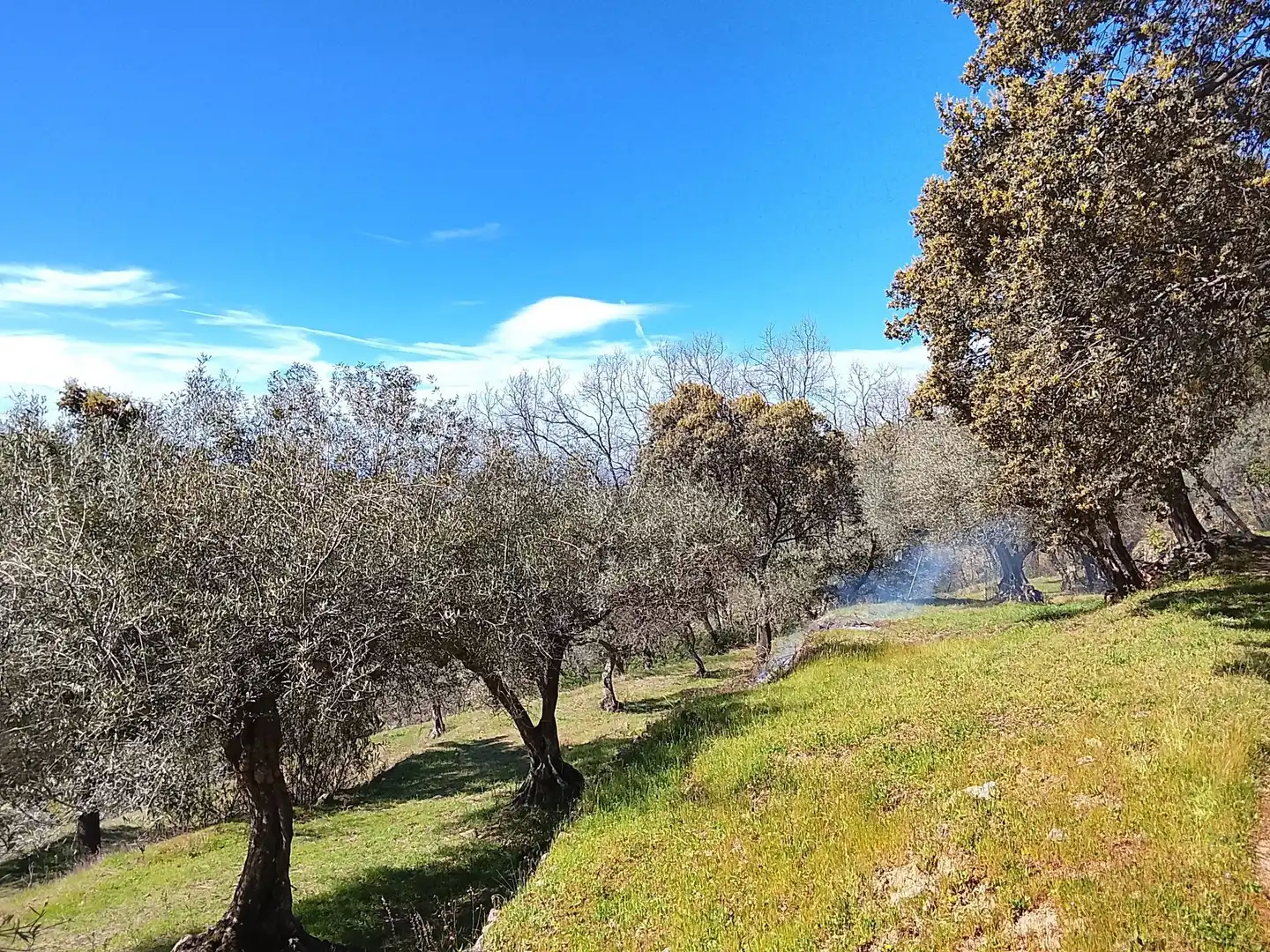 Terreni e lotti in vendita a Candeleda, imagen 29