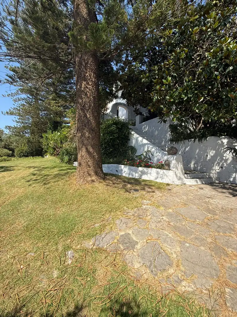 Jardín de Casa o chalet en venta en Algeciras con Jardín privado, Terraza y Piscina