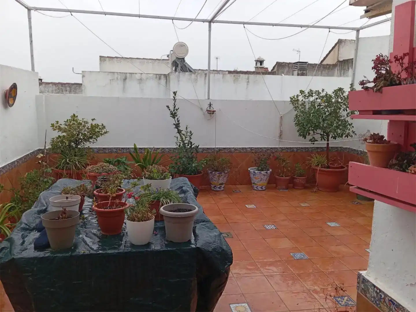 Terrassa de Casa adosada en venda en Morón de la Frontera