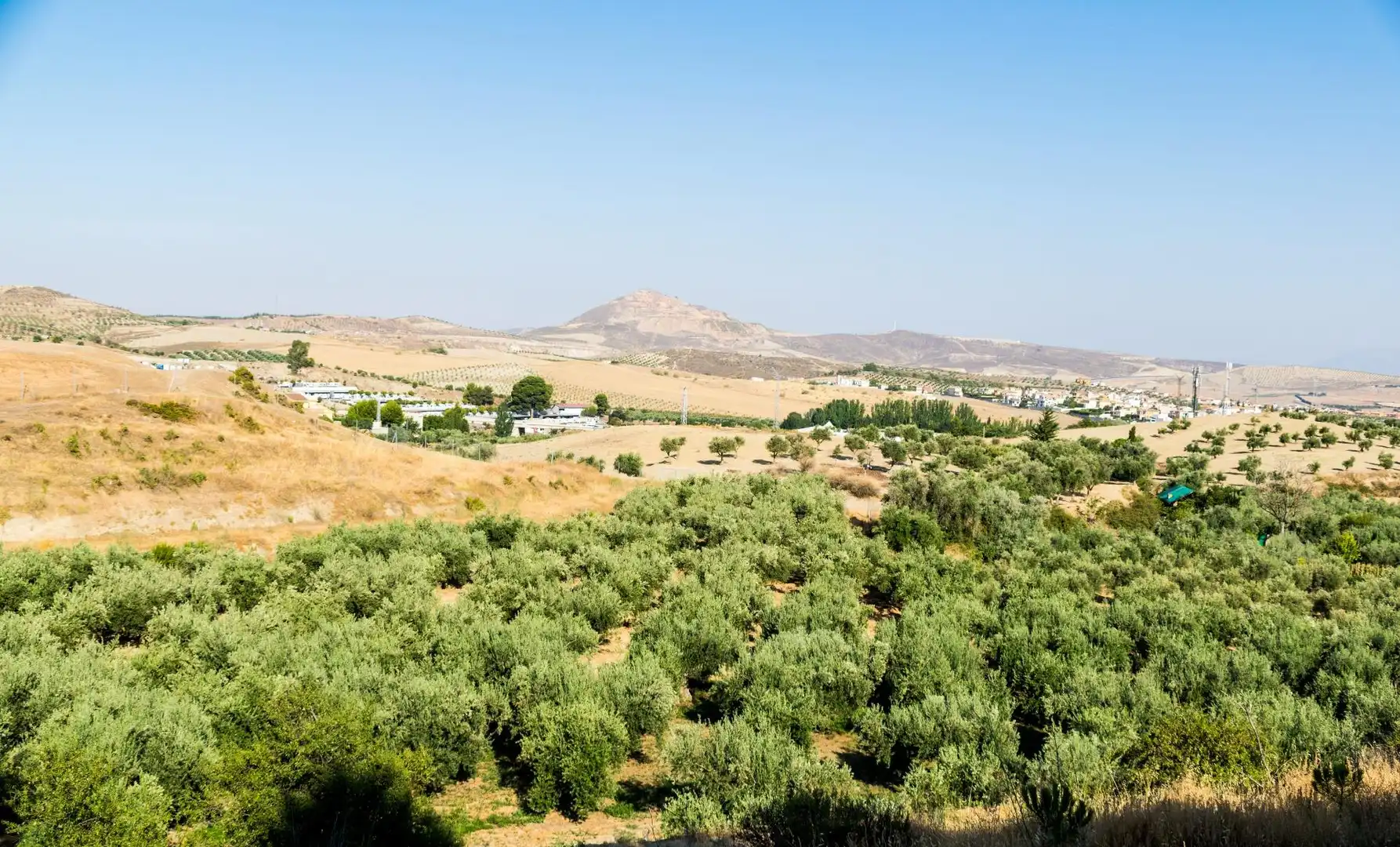 Terreno rustico in vendita a Urbanizacion PAGO VIÑA DEL REY, imagen 4
