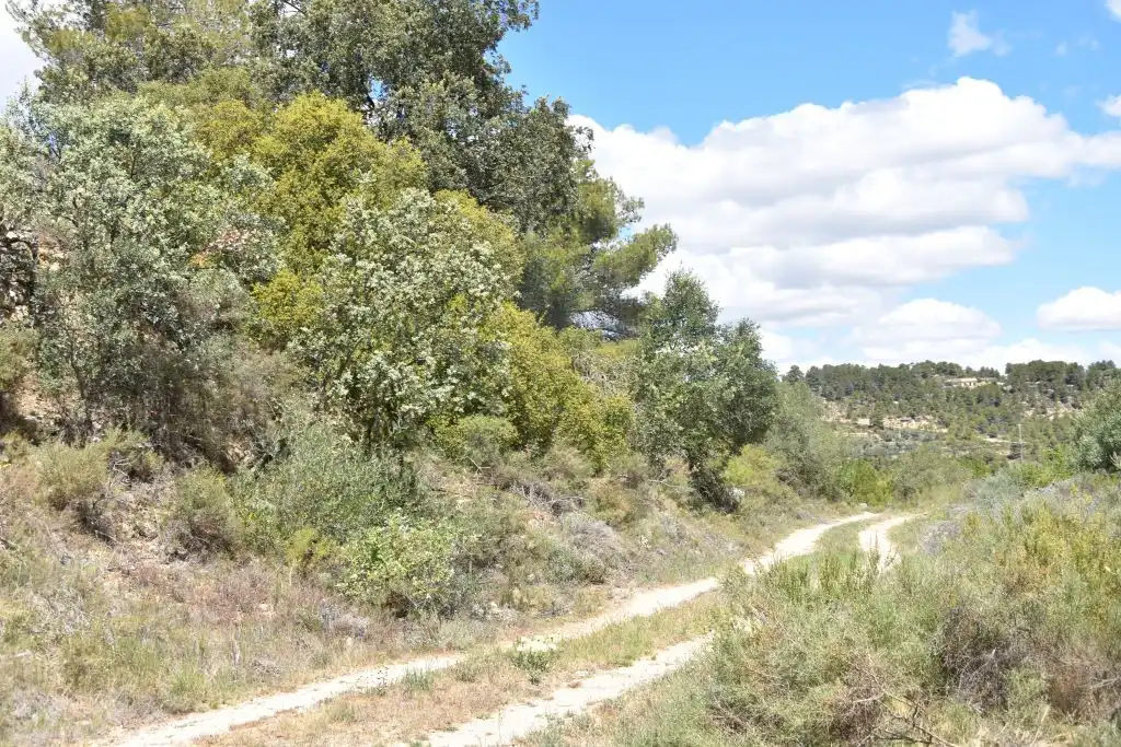 Terreni e lotti in vendita a Arens de Lledó, imagen 10
