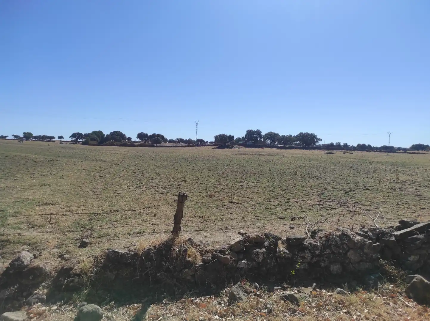 Terreny en venda a Avenida Virgen del Encinar, 1, Ceclavín