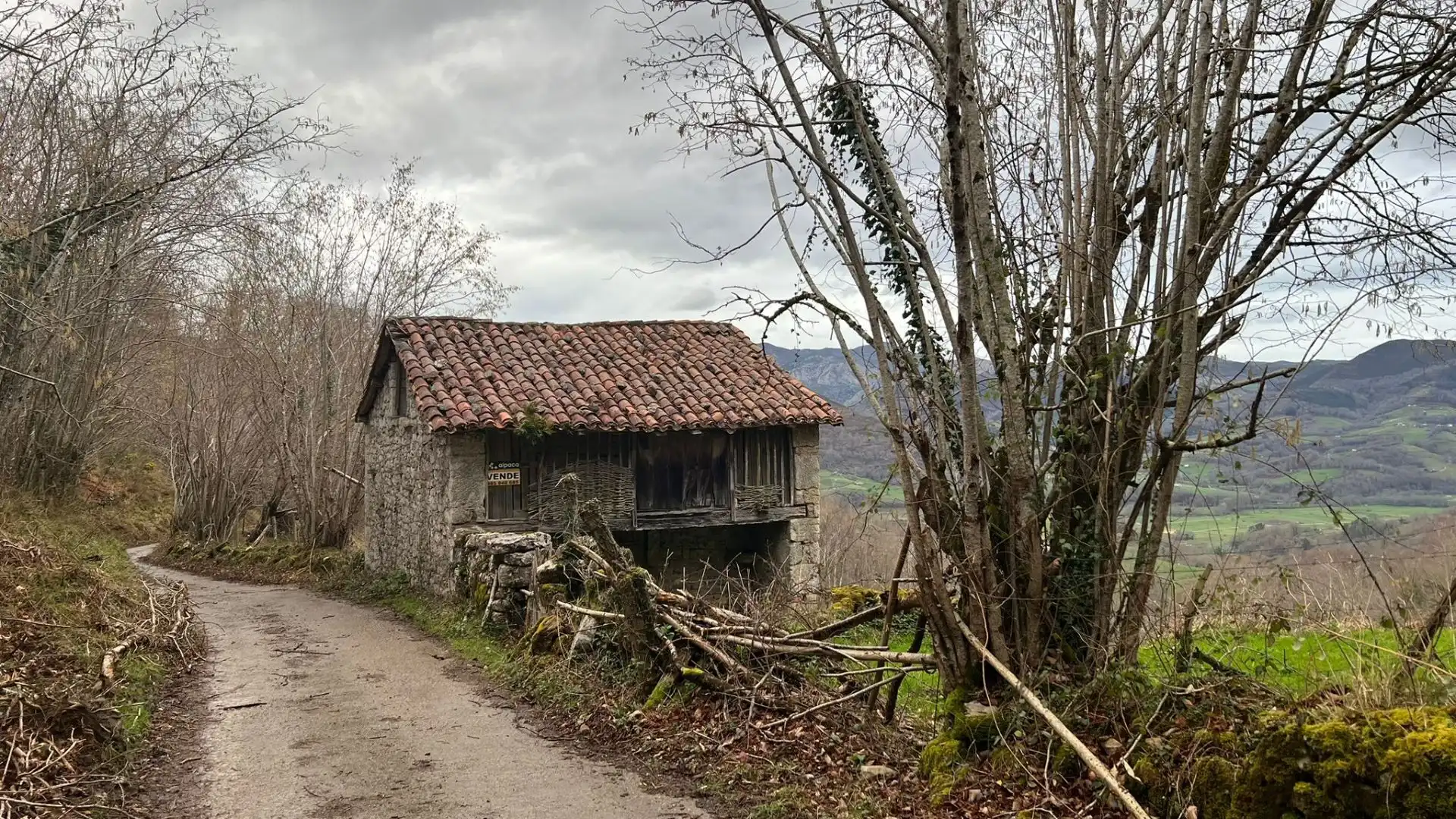 Terreno rustico in vendita a Cangas de Onís, imagen 5