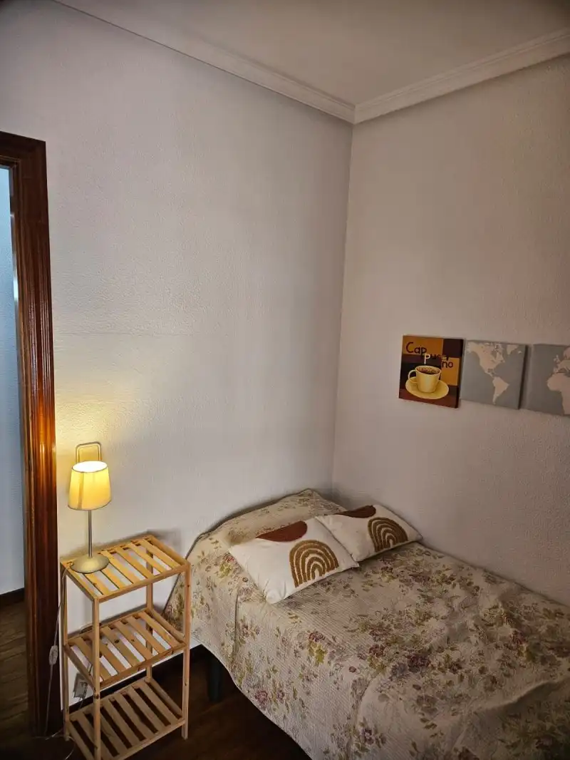 Flat with garden to rent in Casco Antiguo, imagen 11