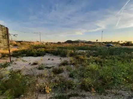 Terreny residencial en venda a Avenida Catral, imagen 8