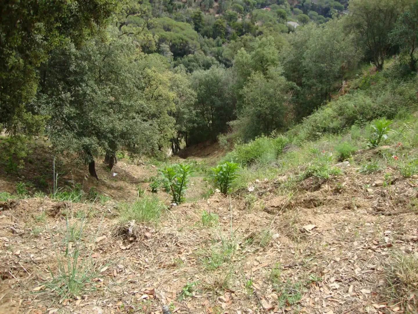 Wohnbaugrundstück zum Verkauf in Sant Cebrià de Vallalta, imagen 2