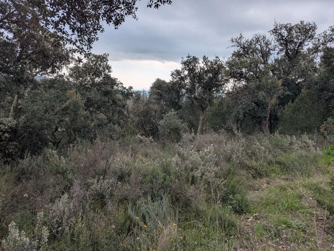 Residencial en venta en Pedret i Marzà