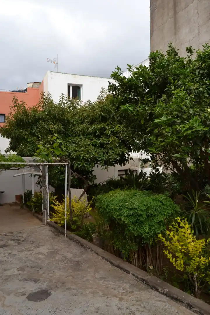 Garden of Houses for rent in La Orotava  with Private garden, Furnished and Washing machine