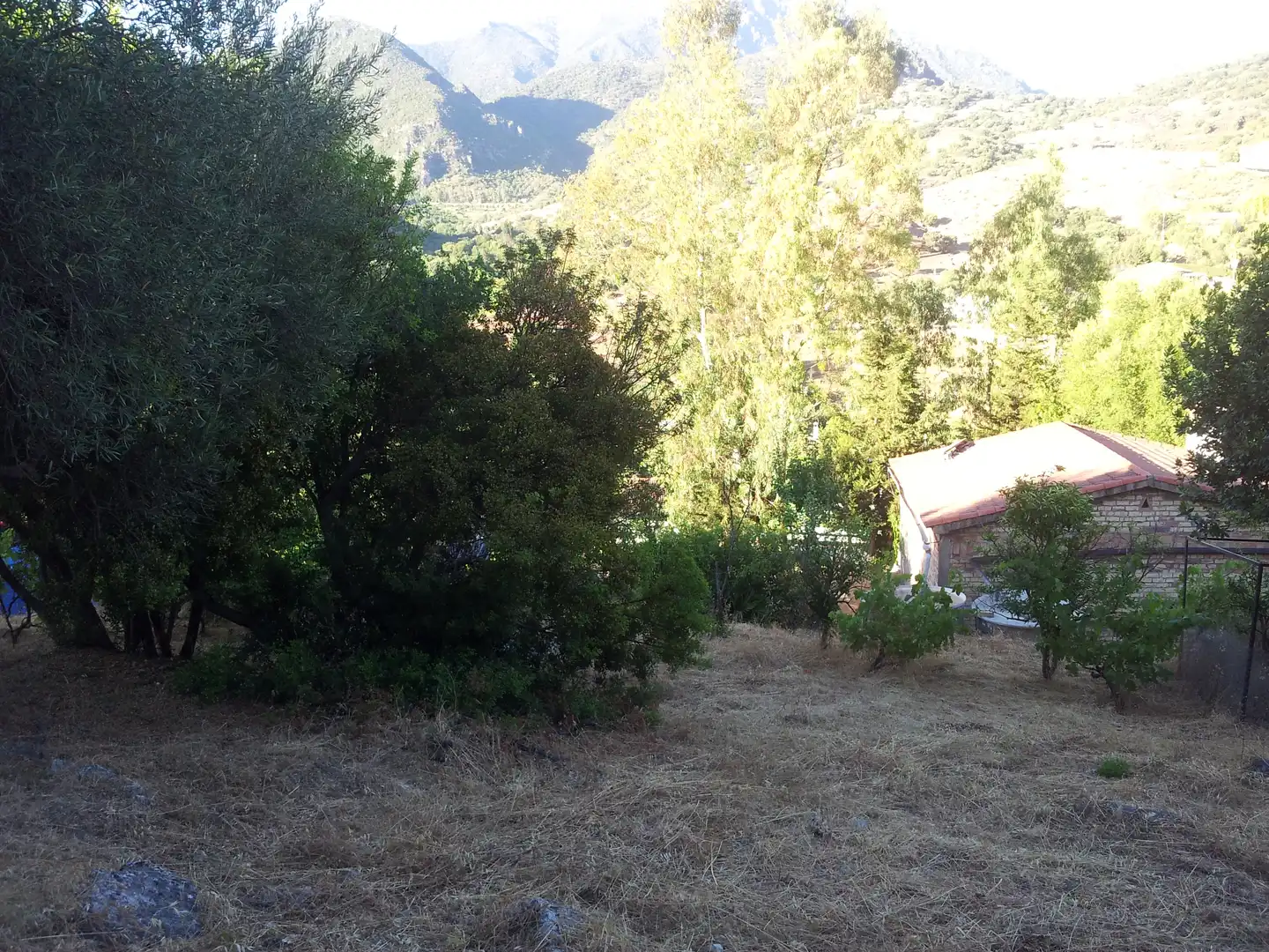 Finca rústica en venta en Ubrique