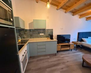 Cuina de Loft de lloguer en Castellón de la Plana / Castelló de la Plana amb Aire condicionat i Moblat