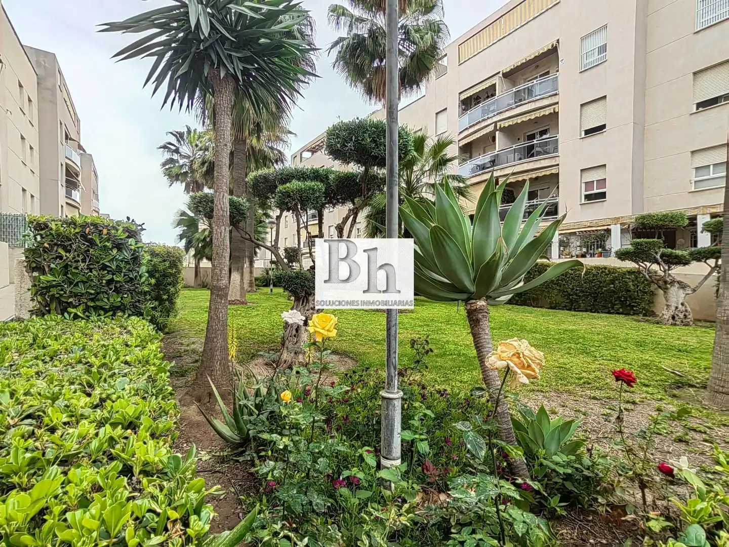 Vista exterior de Pis en venda en Málaga amb Aire condicionat, Jardí privat i Terrassa
