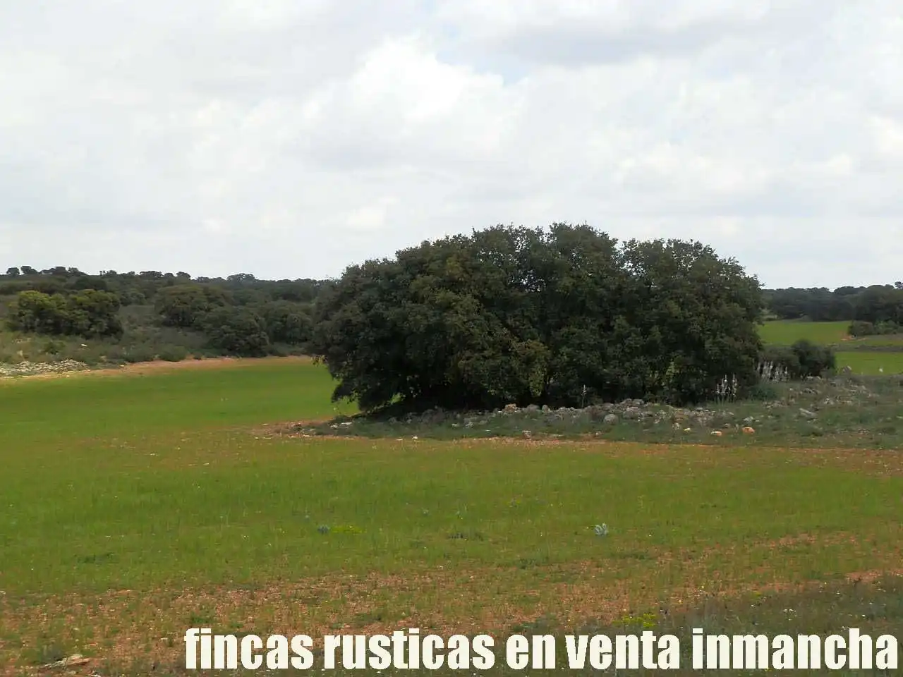 Terreno rustico in vendita a Ruidera, imagen 8