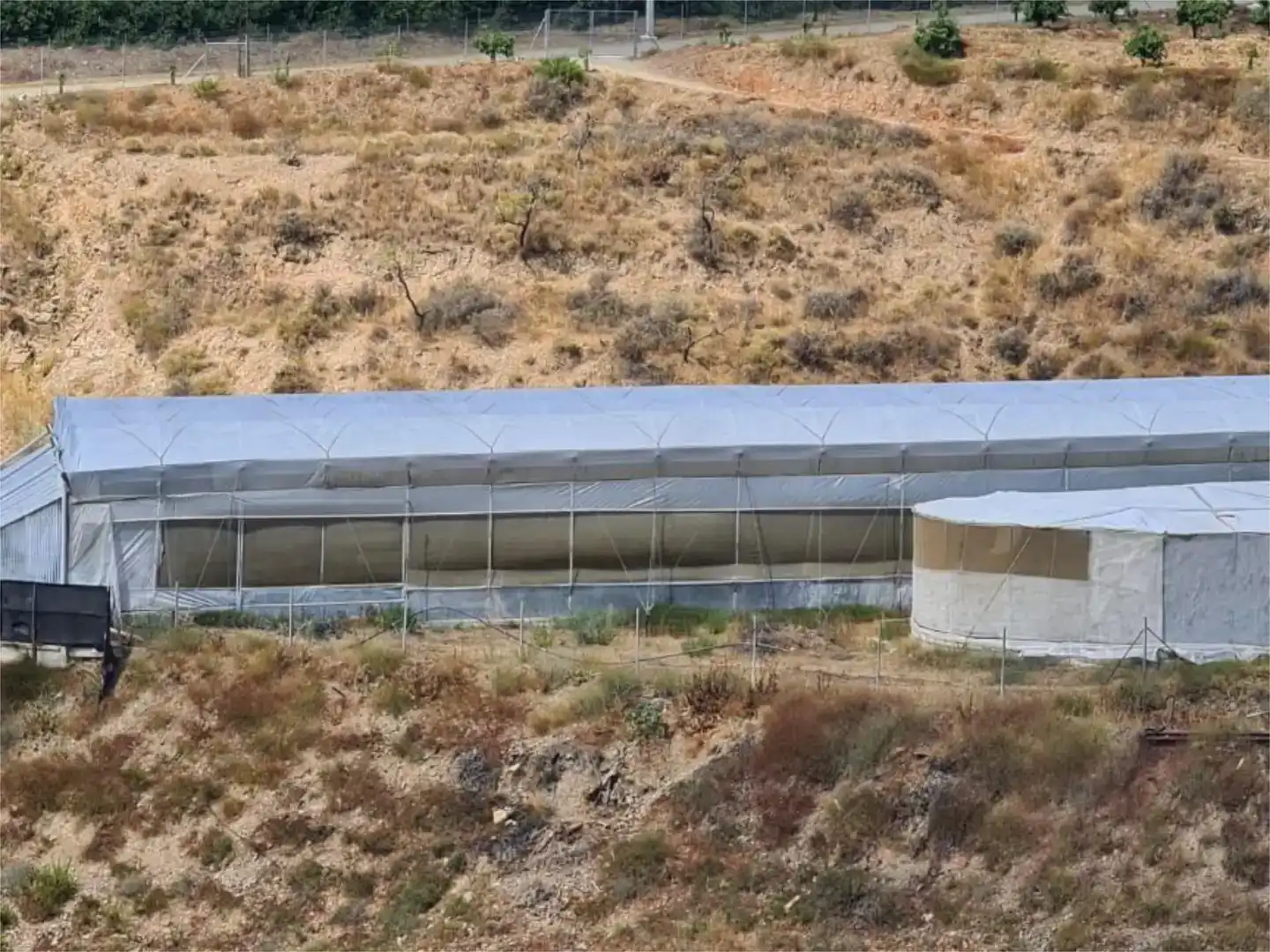 Vista exterior de Finca rústica en venta en Alhaurín El Grande