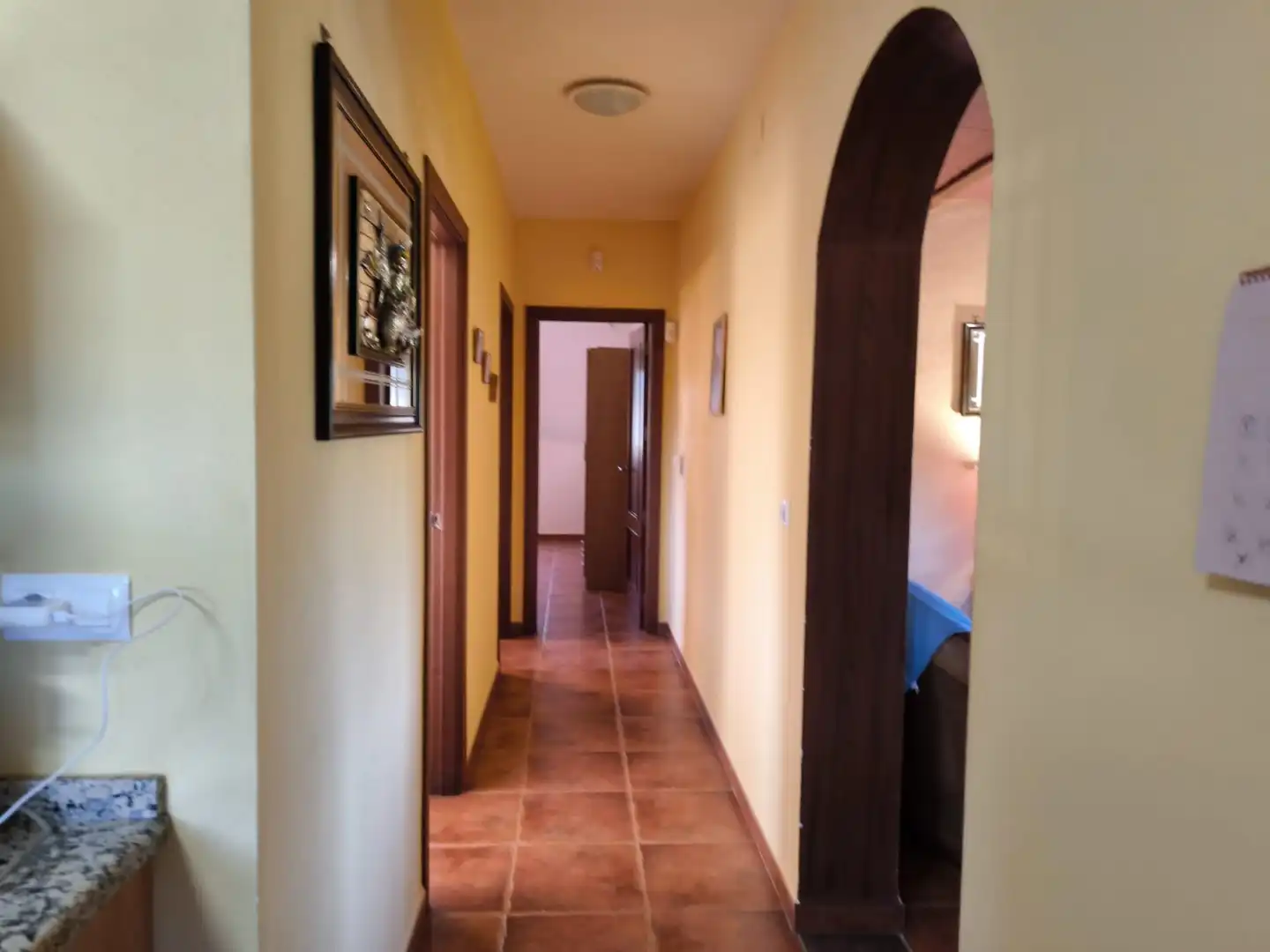 Rural land for sale in Fuente Obejuna, imagen 20