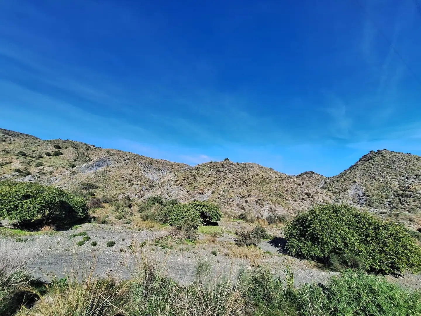 Vista exterior de Terreno en venta en Mojácar