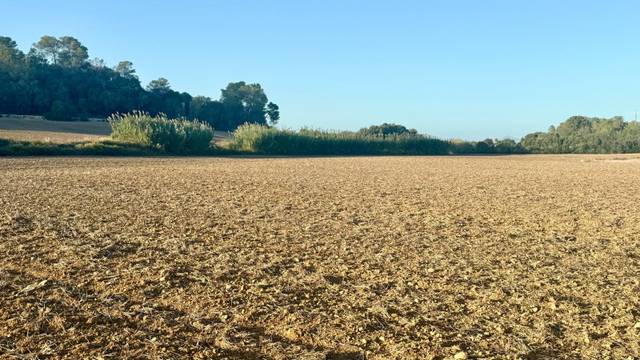Terreno en Venta en Maria de la Salut