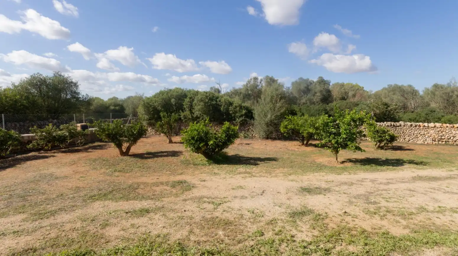 Houses for rent in Felanitx - Carrer SANT AGUSTI F, Felanitx Poble
