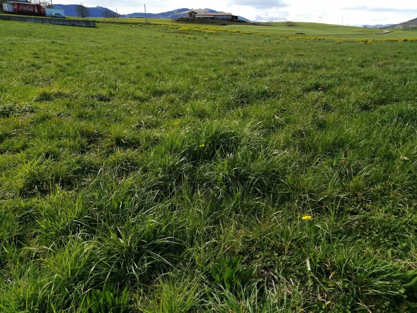 Grundstücke und Bauplätze zum Verkauf in Penagos, imagen 5
