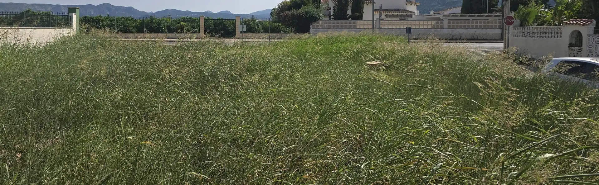 Lands and plots for sale in Els Poblets, imagen 2