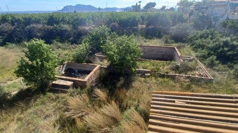 Foto 3 de Finca rústica en venda a Albatera, Alicante