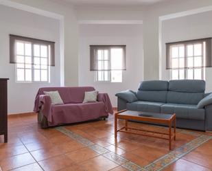 Living room of Flat to rent in Las Palmas de Gran Canaria