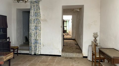 Foto 2 de Finca rústica en venda a Olivares, Sevilla