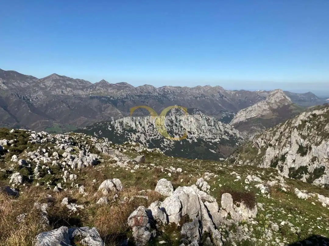 Vista exterior de Casa o chalet en venta en Peñamellera Alta con Calefacción y Amueblado