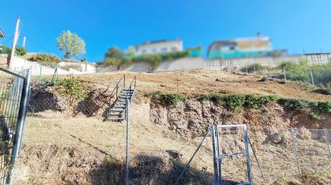PARCELLA  BERGA CASAMPONS, immagine 4