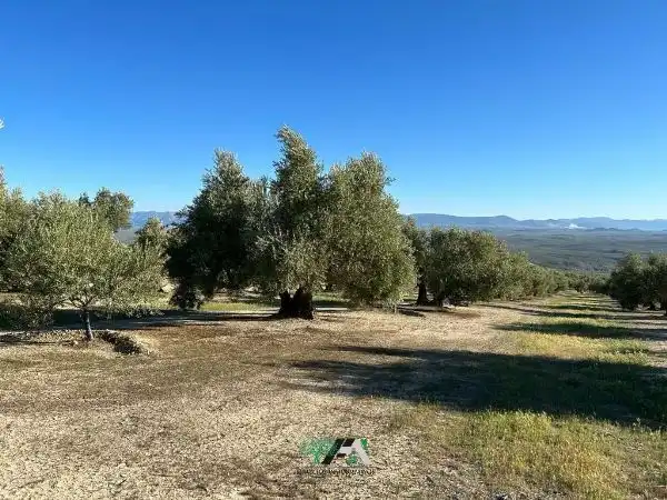 Terreni e lotti in vendita a Begíjar, imagen 4